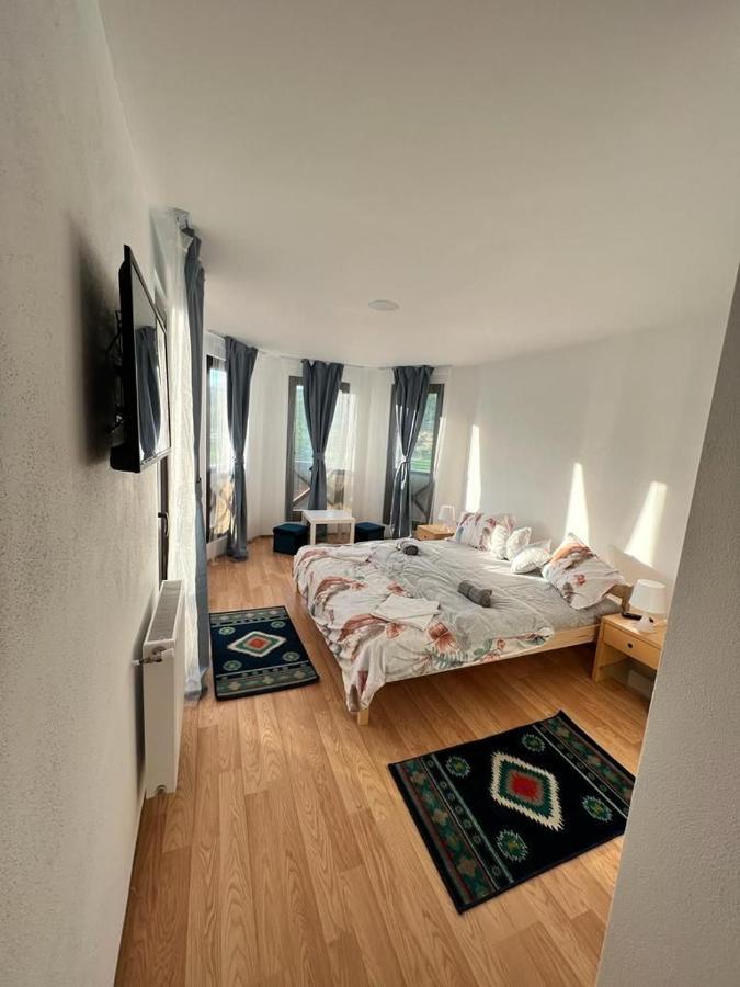 Pensiunea Rnb Maramures Surdesti  Exterior foto